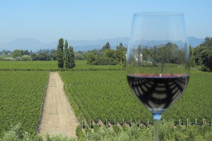 Sonoma Wine Tour com 2 degustações incluídas em pequenos grupos meio dia