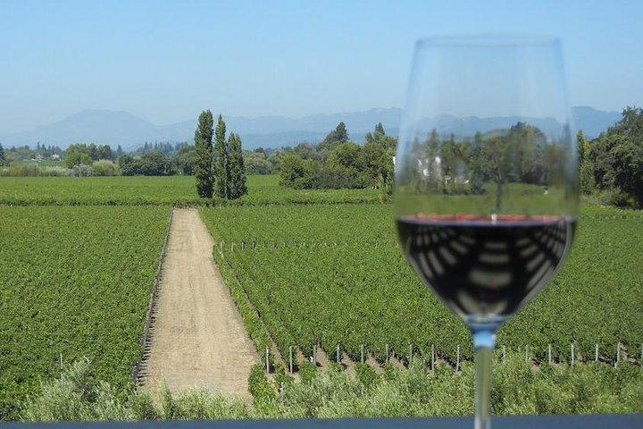 Sonoma e Napa Wine Tour 3 degustazioni incluse Tour per piccoli gruppi