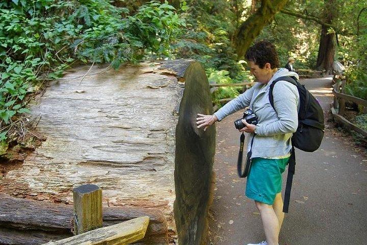 From San Francisco: Guided Tour to Muir Woods and Sausalito