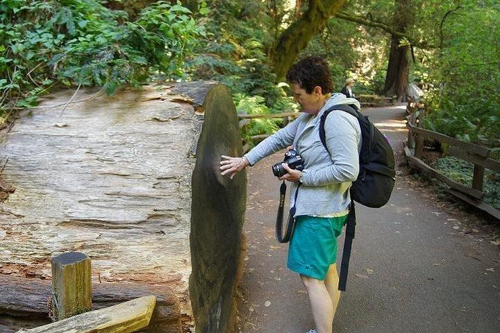 San Francisco: Guidet Muir Woods-tur og hop-på-hop-af-bustur