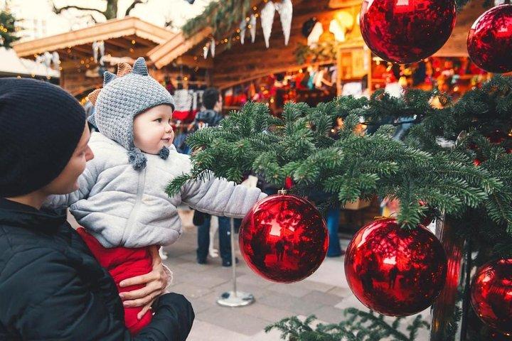 Kerstmiddeldag Salzburg vanuit Wenen