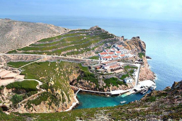 Tour privato Berlenga Grande Island da Lisbona