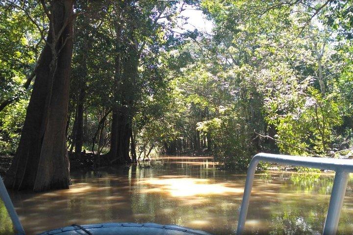 Excursión de aventura de 4 días en la selva amazónica