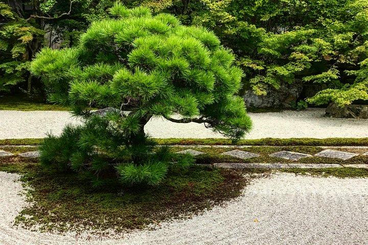 Kyoto: Zen Garden, Zen Mind (Privat)