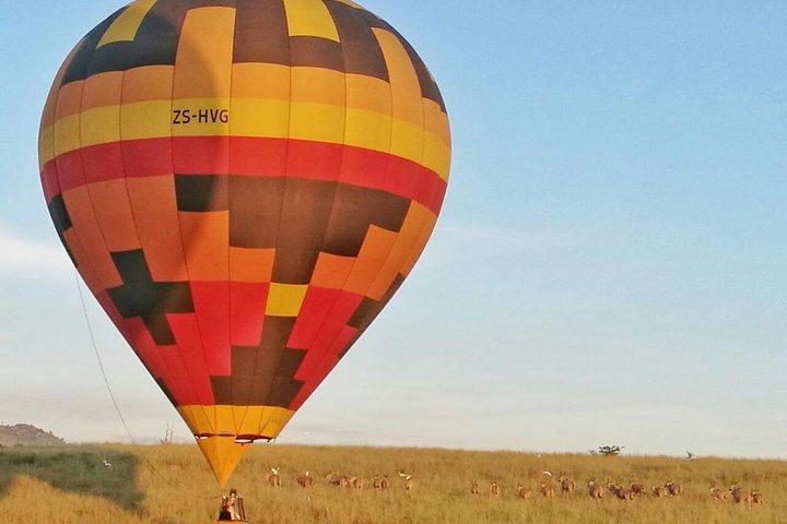 Safari flyvning
