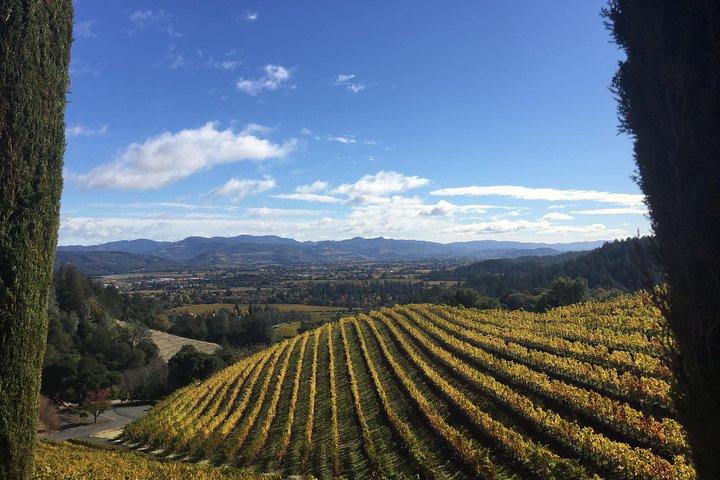 Private Weintour von San Francisco nach Napa