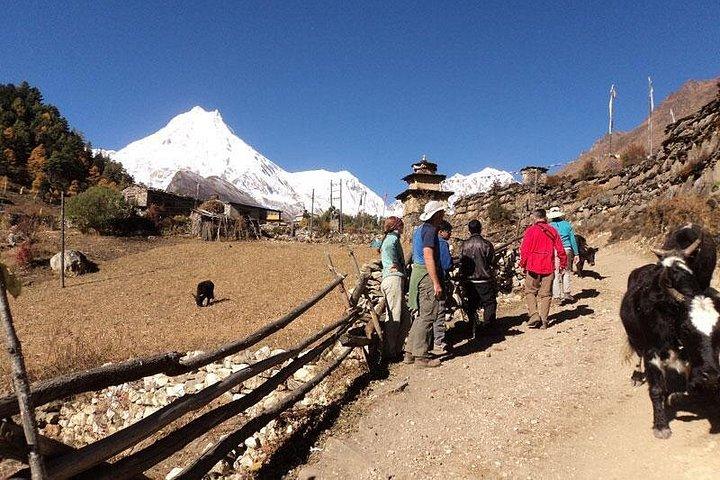 Recently Open Manaslu Circuit Tea House Trek by Local Guide