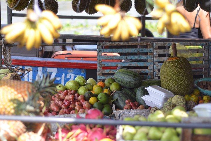Privat Mekong Delta-tur til Cai Be - Tan Phong-øen hel dag