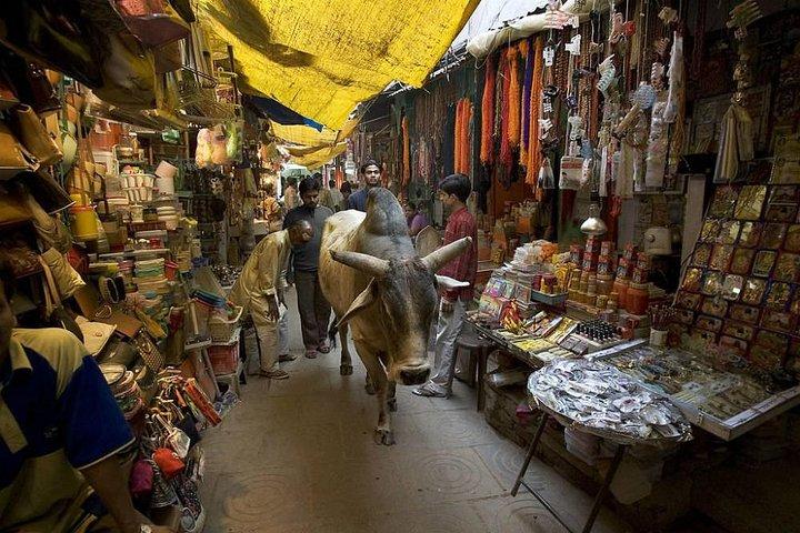 Wandeltocht van Assi naar Manikarnika: Varanasi Ghats & Lanes