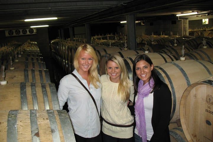 Vineyards Honey and Black Sand Beaches from Auckland