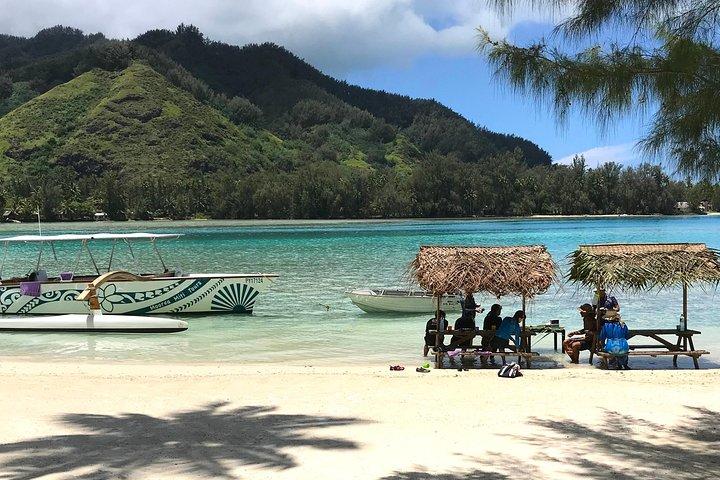 Moorea 6 - Plongée d'une heure et déjeuner partagé