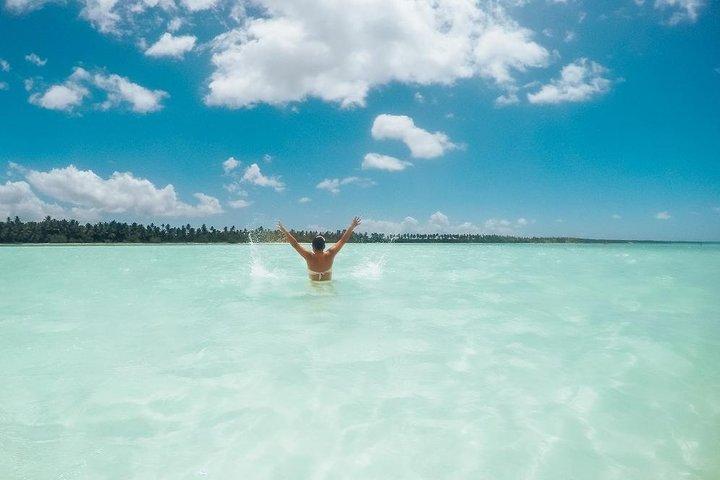 Full-Day Cruise naar Saona Island - Natuurlijk zwembad en lunch