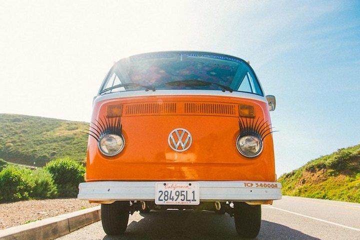 Excursão Privada de Senhoras Pintadas em San Francisco