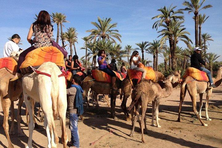 Camel ride in Marrakech palmeraie area