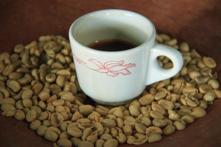 Degustação de café local e experiência cultural