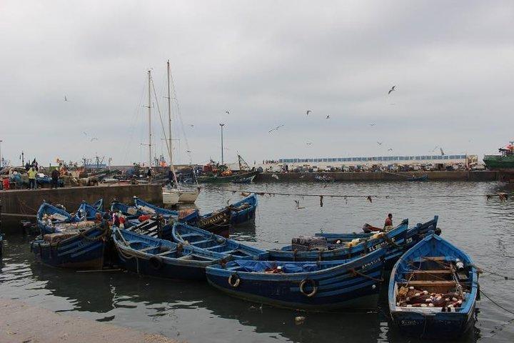 Private Day trip from Marrakech to Essaouira