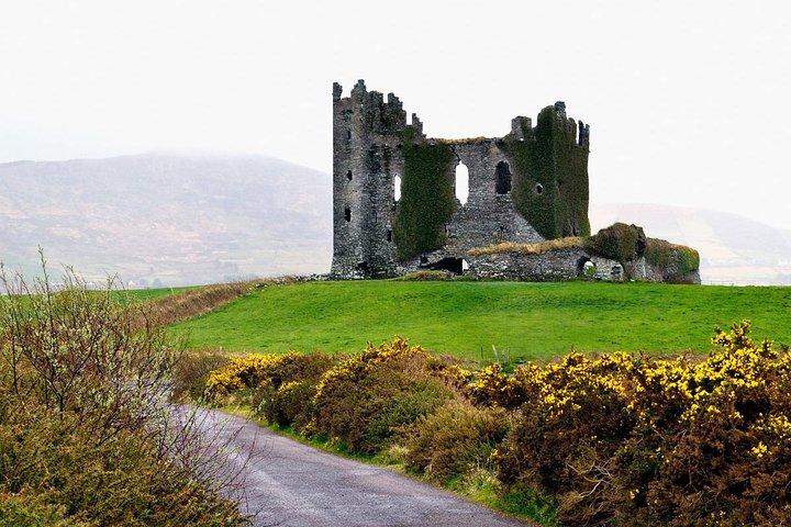 Visite privée au départ du Kerry. Falaises de Moher, château de Bunratty.