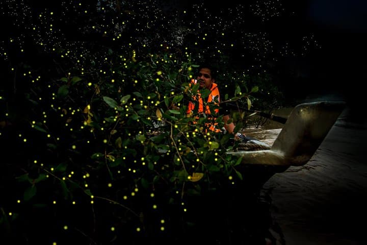 Kuala Selangor Fireflies - Batu Caves Temple- Malawati Hill DayTour With Dinner