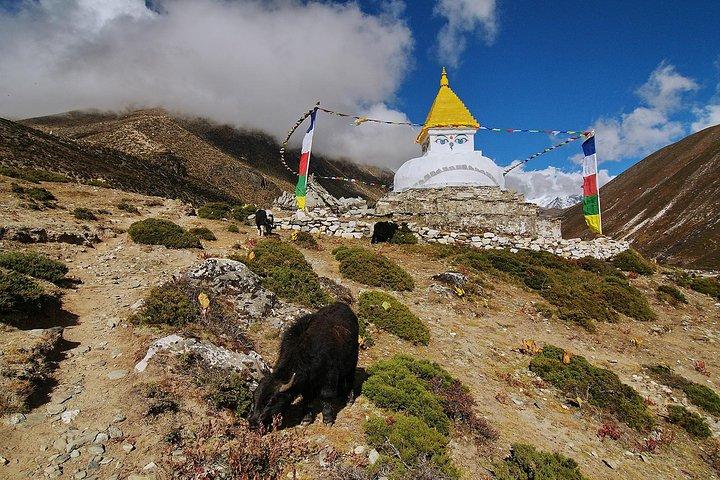 Caminata del campo base del Everest