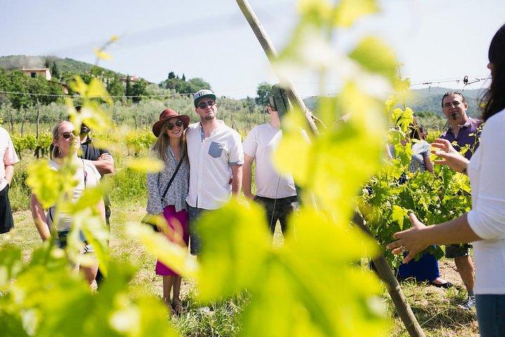 Educational Olive Oil Tasting