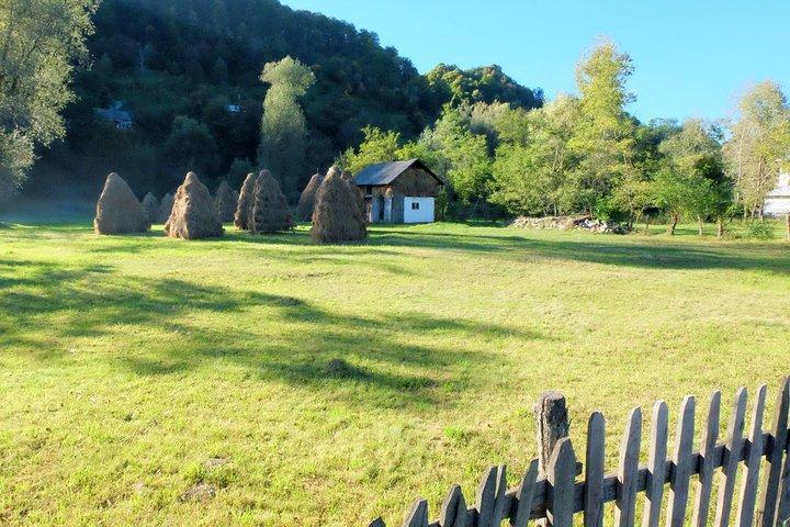Transylvania Day Trip from Bucharest: In Search of Count Dracula