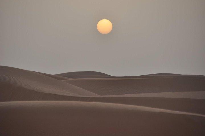 Safari dans le désert de Dubaï : spectacle Tanoura, traversée des dunes et dîner barbecue