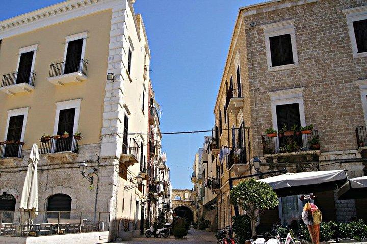 Excursión de un día completo: Bari Puglia, Trulli de Alberobello, el Castel del Monte y Sassi de Matera