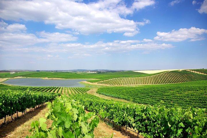 Azeitão and Alentejo Wine and food Tour