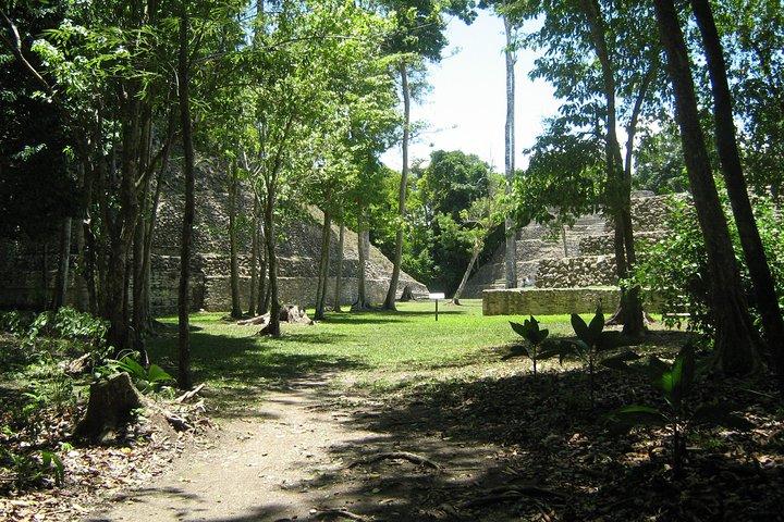Full-Day Caracol Maya Temple e Pine Ridge Forest Reserve