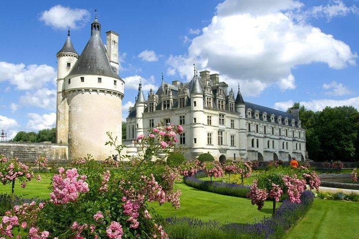 Loire Valley Castles Privat dagstur från Paris