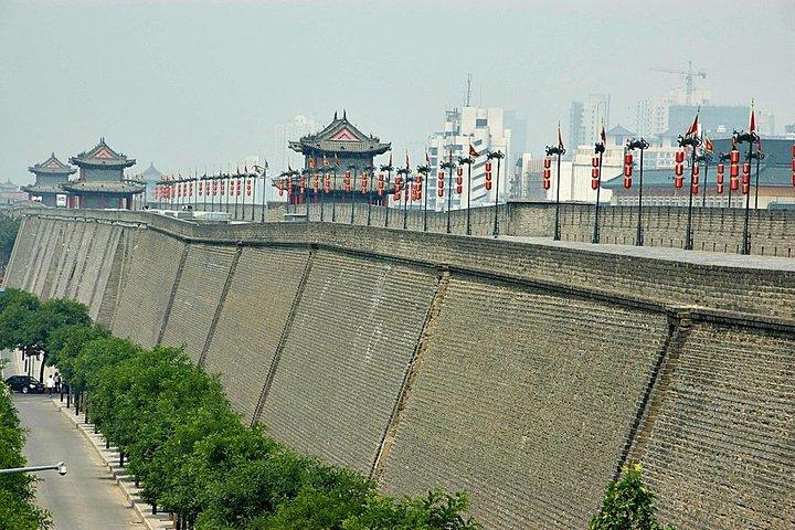 Tour privato di un giorno di Xi'an Terra-Cotta Warriors e City Wall