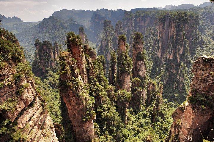 Privater Tagesausflug: Zhangjiajie National Forest Park und Tianzi Mountain