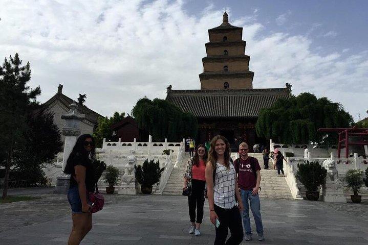 Privat rundvisning i Shaanxi History Museum og Big Wild Goose Pagoda i halv dag
