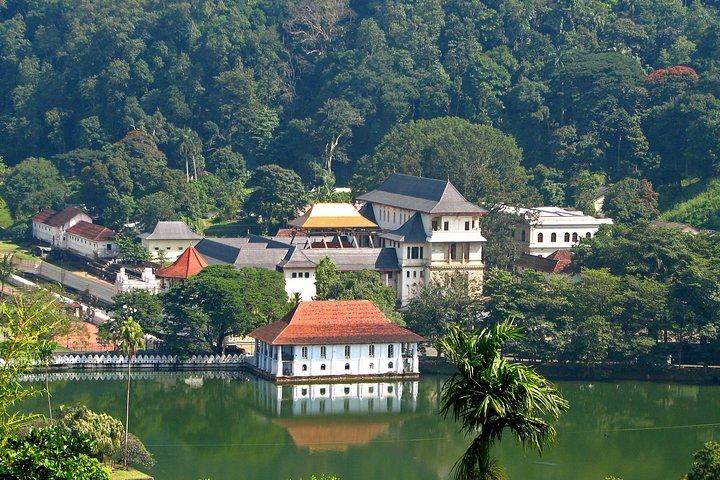 Eksklusivt: Last Kingdom Private Day Tour i Kandy