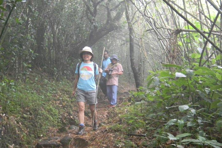 Van Kandy : Watervaltrekking in Knuckles Mountain Range