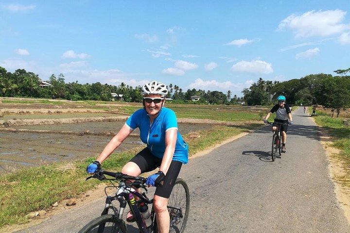Galle : Dorf und Lagune Private Radtour