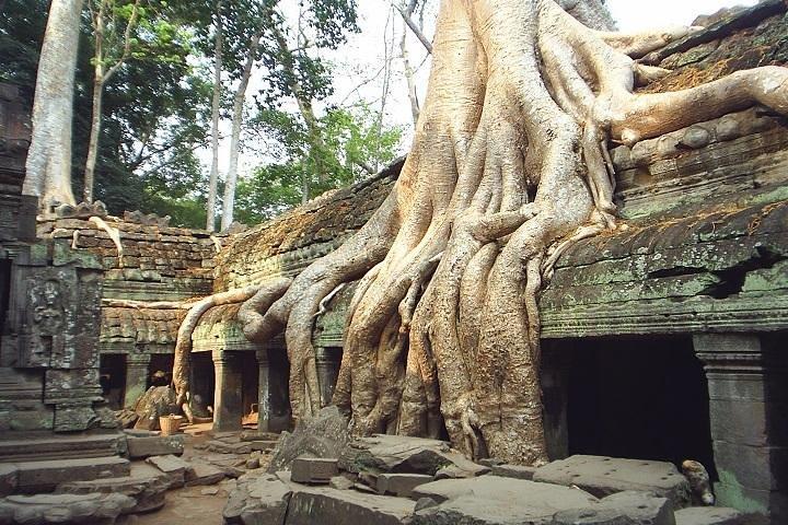 アンコールの最も優れた例の概要