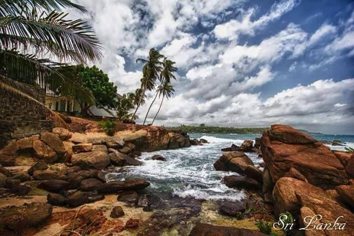 Visite privée de 6 jours autour du Sri Lanka