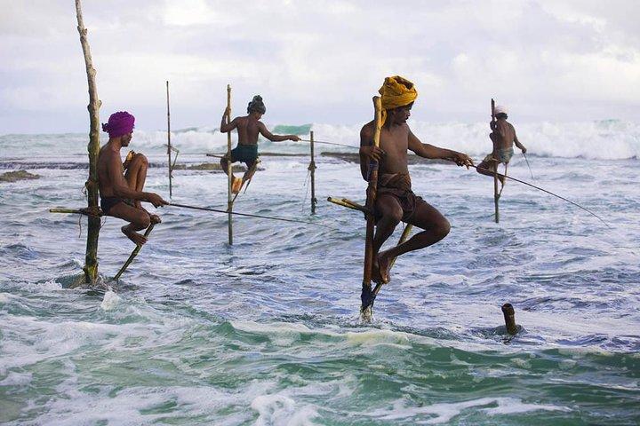 4-daagse Sri Lanka Coast Tour