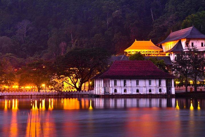 Private Day Trip a Kandy da Colombo