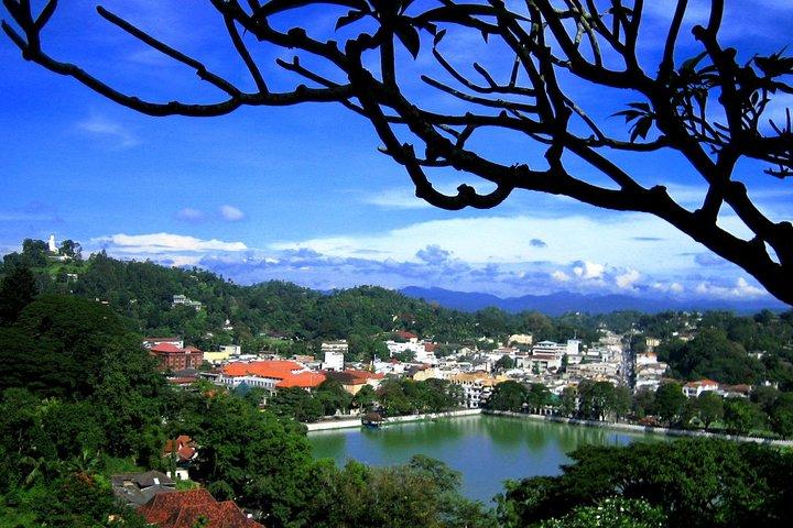 Private Day Trip a Kandy da Colombo