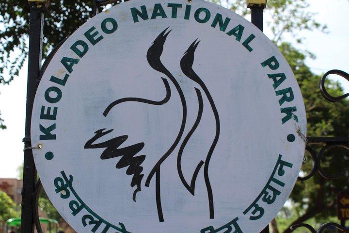 Tour guidato del Parco Nazionale Keoladeo Bird a Bharatpur da Jaipur