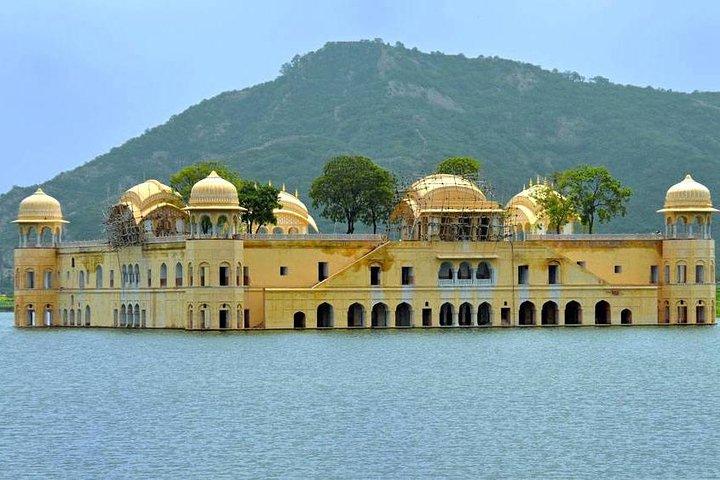 Visite guidée de Jaipur comprenant le fort d'Amber, le palais de la ville et Hawa Mahal