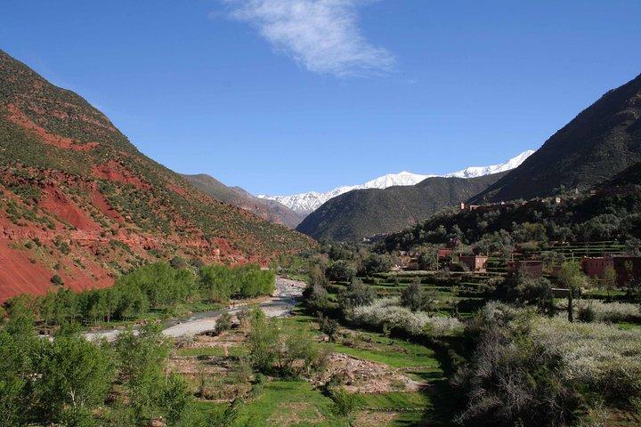 Ourika Valley Day Trip inclusief kameelrijden