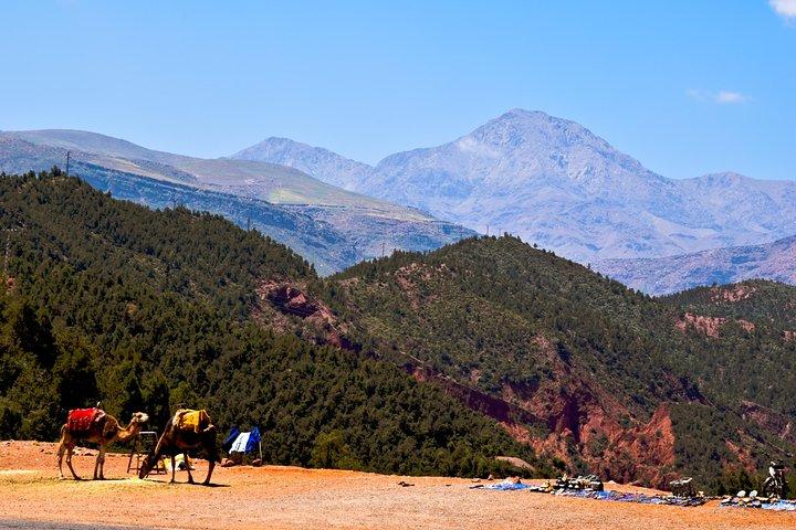 Ourika Valley Day Trip inclusief kameelrijden