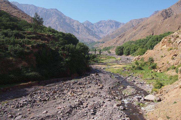 Guided Day Trip to Atlas Mountains from Marrakech