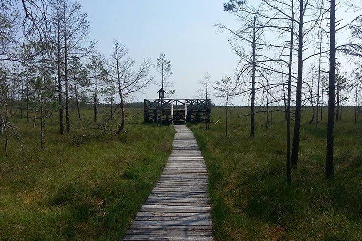 Viaje de un día a Vilnius al parque nacional de Dzukija, que incluye el parque Grutas