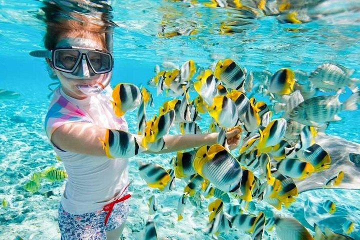 Ilha dos Sonhos de Hurghada