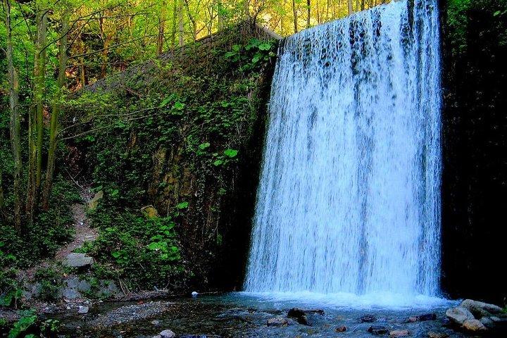 Excursion d'une journée à Sapanca, Masukiye au départ d'Istanbul