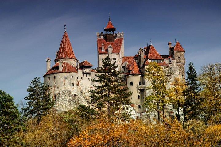 Castelo de Bran (Drácula), Santuário de Ursos, Fortaleza Rasnov e Destilaria Palinca
